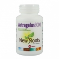 Astragalus 8000 – intareste sistemul imunitar